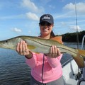Create Listing: Fishing Charter 1-4 people - 4 Hours