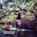 Create Listing: 2 Hour Paddleboard Eco Tour - Lesson included!