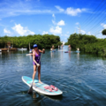 Create Listing: 2-Hour Paddleboard Rental - Lesson Included!