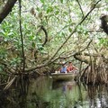 Create Listing: Private Everglades National Park Guided Kayak Eco Tour 