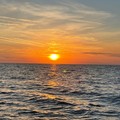 Create Listing: Madeira Beach Sunset Cruise | 2hrs | All Ages | 3ppl minimum