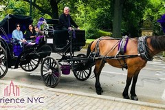 Create Listing: Short Horse and Carriage Ride - 1hr