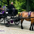 Create Listing: Short Horse and Carriage Ride - 1hr