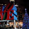Create Listing: Holiday Lights Driving Tour
