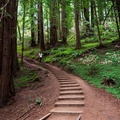 Create Listing: Muir Woods Redwood Forest and Sausalito with Park Admission