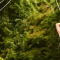 Create Listing: Zip Lines Adventures La Romana