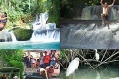 Create Listing: Pelican Bar, Black River Safari & YS Falls