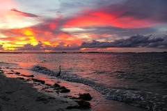 Create Listing: Fort Myers Beach Sunset Tour