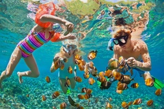 Create Listing: CJ Reef Snorkeling Getaway