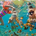 Create Listing: CJ Reef Snorkeling Getaway