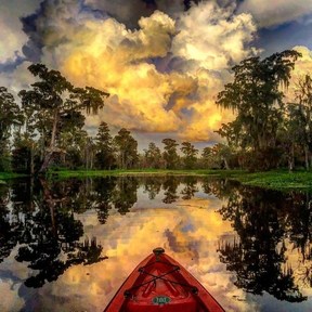 New Orleans Kayak Swamp Tours